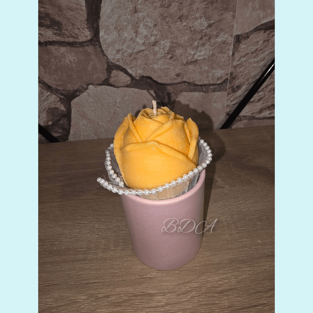 La belle rose