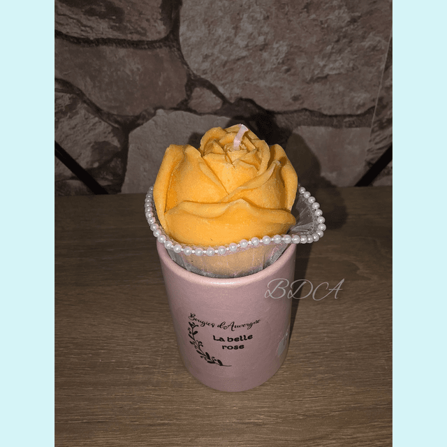 La belle rose